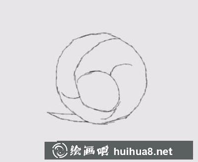 兔子的畫法