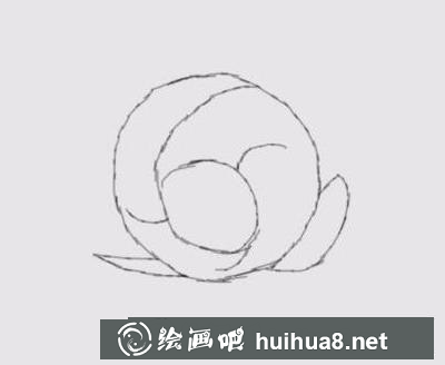 兔子的畫法