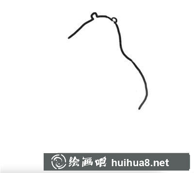 簡筆畫教程怎么畫熊大