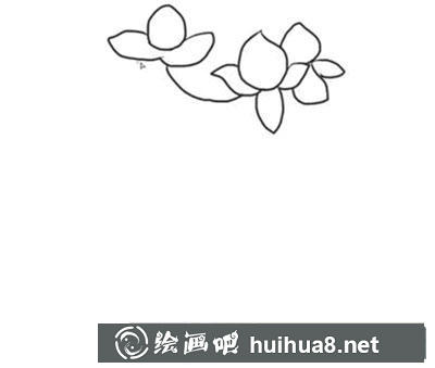 簡筆畫教程怎么畫桃樹