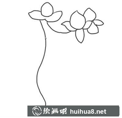 簡筆畫教程怎么畫桃樹