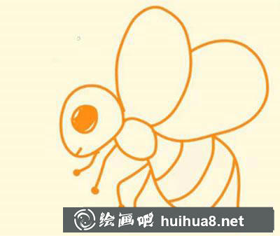 簡(jiǎn)筆畫(huà)教程怎么畫(huà)小蜜蜂