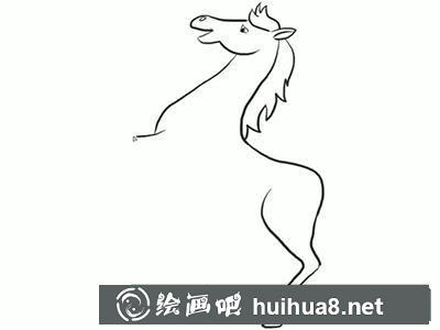 簡筆畫教程怎么畫白龍馬