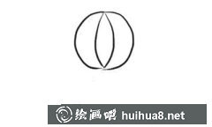 簡筆畫海豹繪制教程
