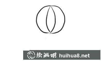 簡(jiǎn)筆畫教程怎么畫海豹