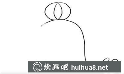 簡(jiǎn)筆畫教程怎么畫海豹