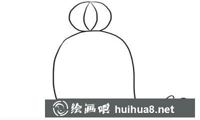 簡(jiǎn)筆畫教程怎么畫海豹