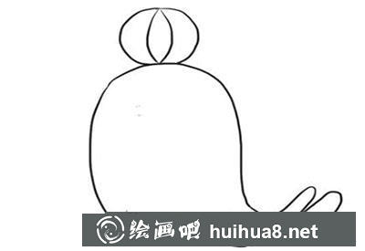 簡(jiǎn)筆畫教程怎么畫海豹