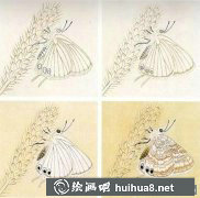 工筆畫教程蝴蝶繪制技巧
