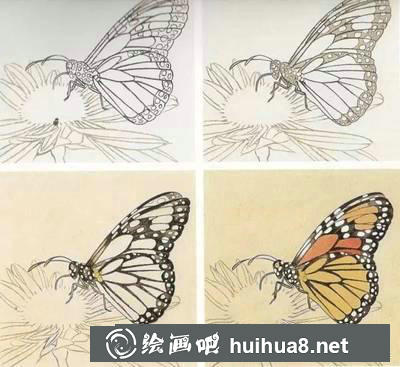 工筆畫教程怎么畫蝴蝶
