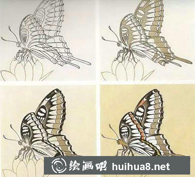 工筆畫(huà)教程怎么畫(huà)蝴蝶