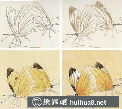 工筆畫(huà)教程怎么畫(huà)蝴蝶