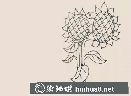 向日葵簡筆畫過程