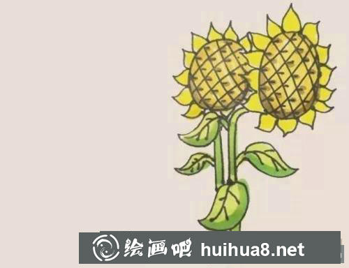 向日葵簡筆畫過程