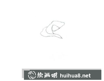 玫瑰花簡筆畫