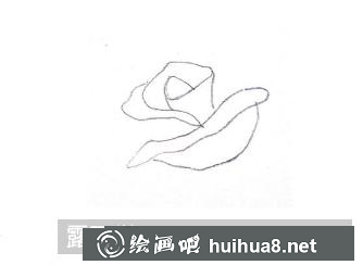 玫瑰花簡筆畫