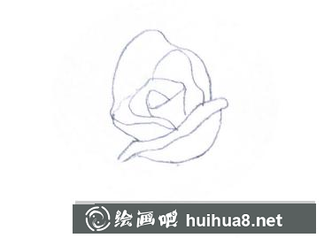 玫瑰花簡筆畫