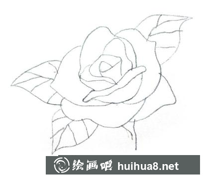 玫瑰花簡筆畫