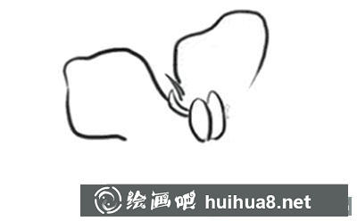 簡筆畫教程梔子花怎么畫