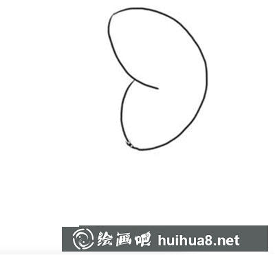 簡筆畫教程怎么畫蝴蝶花