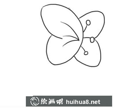 簡筆畫教程怎么畫蝴蝶花
