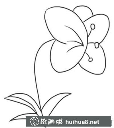 簡筆畫教程怎么畫蝴蝶花