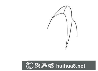 簡筆畫教程奧特曼登場怎么畫