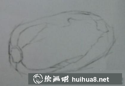 大白菜的畫法