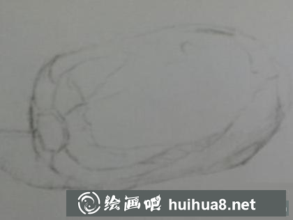 大白菜的畫法