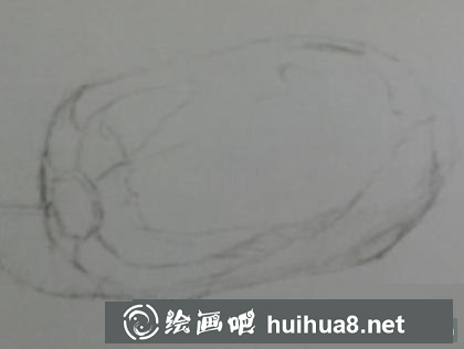 大白菜的畫法