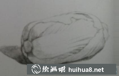 大白菜的畫法
