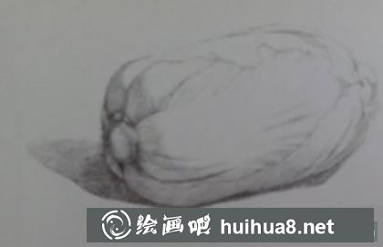 大白菜的畫法