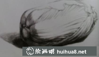 大白菜的畫法