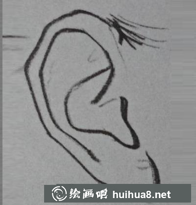 耳朵的畫法