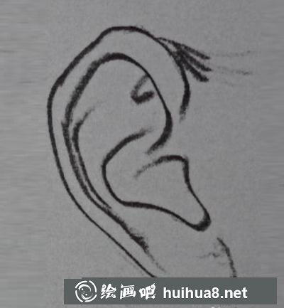 耳朵的畫法