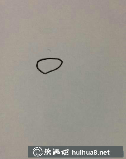 毛毛的鼻子