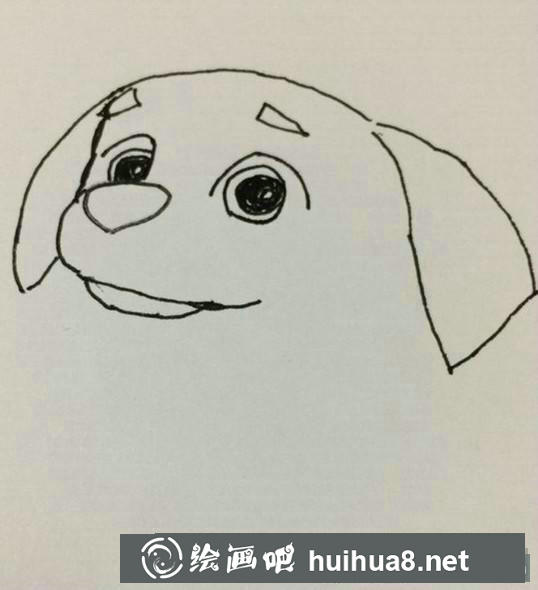 毛毛的耳朵和頭頂部