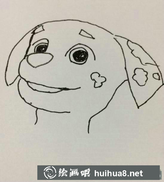 毛毛的后腦和脖頸部