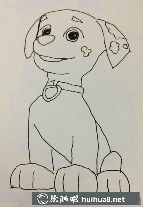 毛毛的后腿