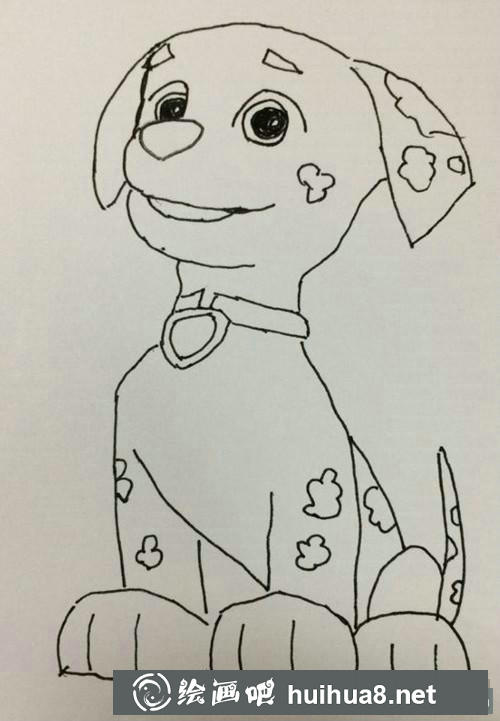 毛毛的尾巴