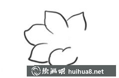 簡筆畫杜鵑花教程分享