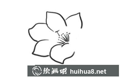 簡筆畫教程怎么畫杜鵑花