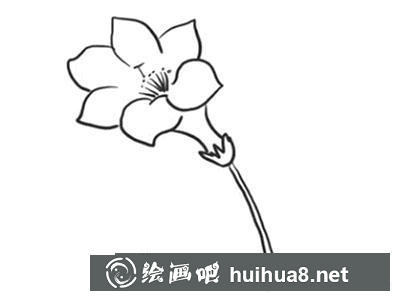 簡筆畫教程怎么畫杜鵑花