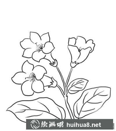 簡筆畫教程怎么畫杜鵑花
