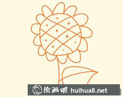 簡筆畫教程怎么畫向日葵