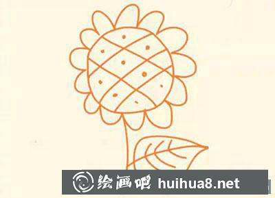 簡筆畫教程怎么畫向日葵