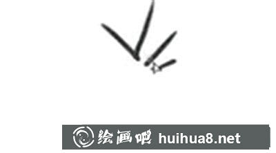 簡(jiǎn)筆畫(huà)教程怎么畫(huà)竹筍