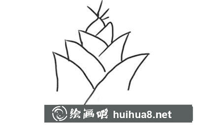 簡(jiǎn)筆畫(huà)教程怎么畫(huà)竹筍