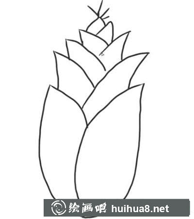 簡(jiǎn)筆畫(huà)教程怎么畫(huà)竹筍