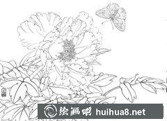 工筆畫教程繪制鳳丹白蛺蝶